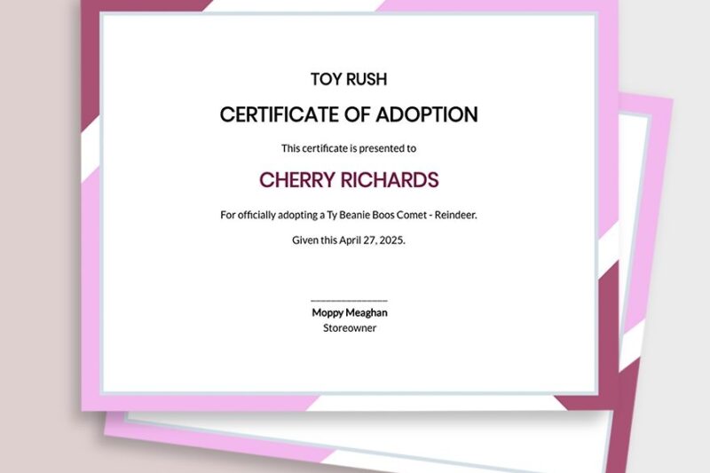 Beanie Boo Adoption Certificate Printable