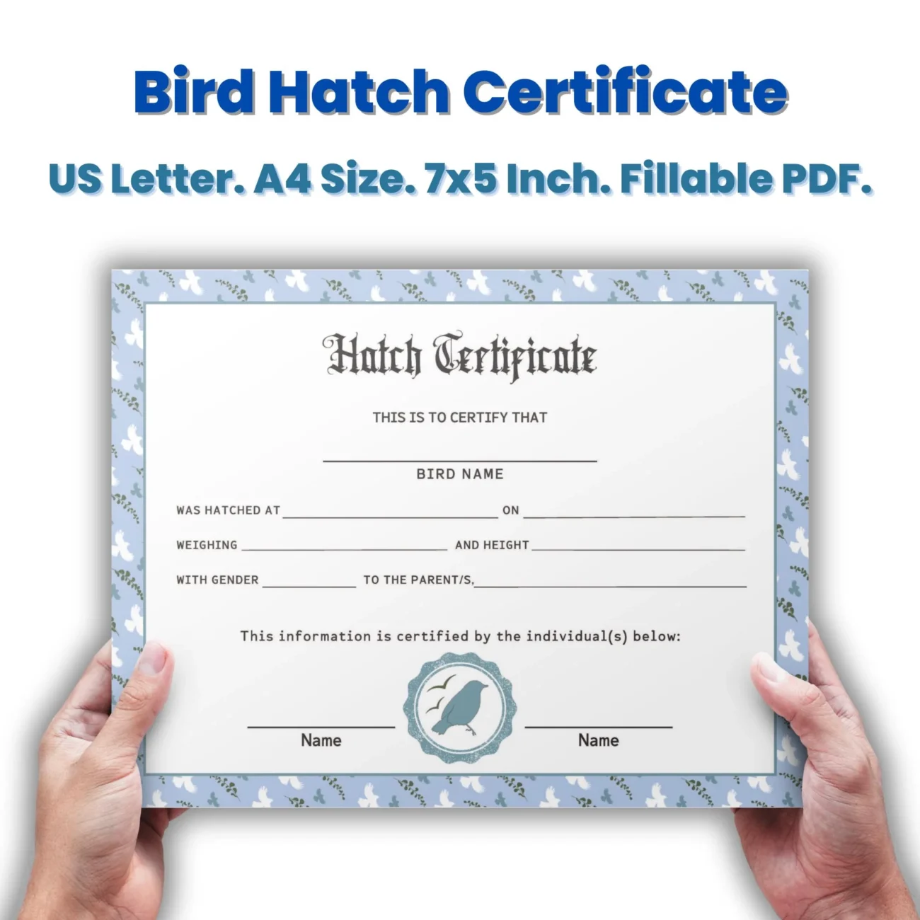 Bird Hatch Certificate Bird Certificate Bird Adoption Certificate Etsy Ireland