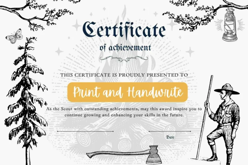 Printable Certificate Of Appreciation Bsa