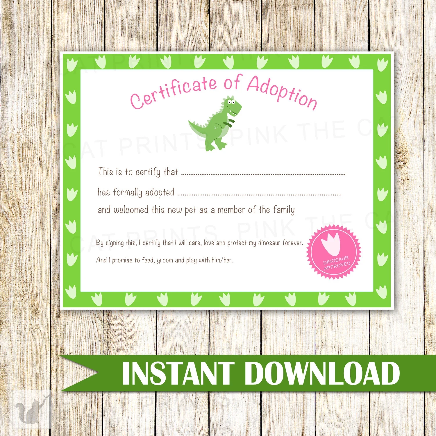 Certificate Of Adoption Dinosaur Birthday Party Pink The Cat