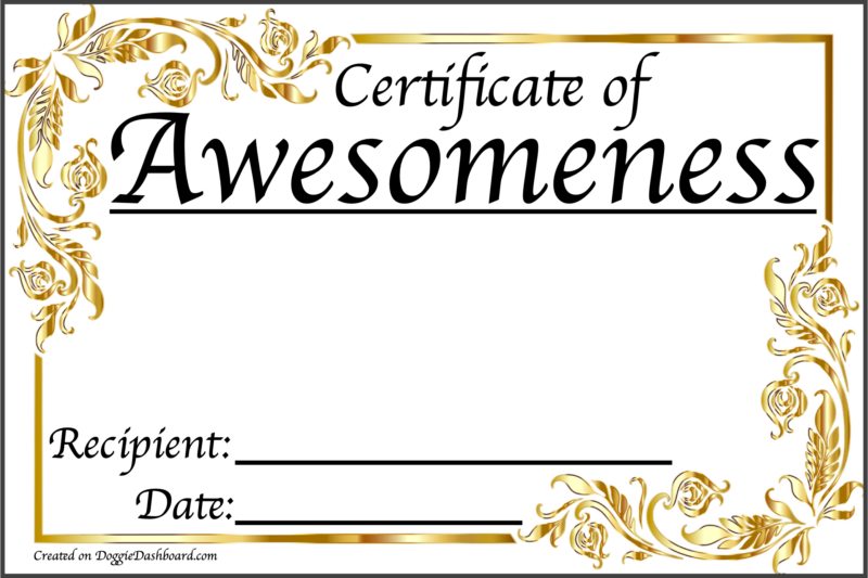 Free Printable Certificate Of Awesomeness Template