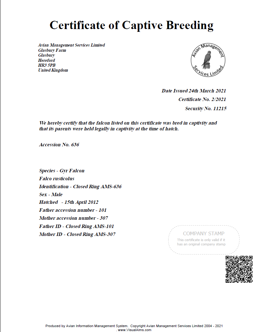 Printable Bird Hatch Certificate Printable Bird Hatch Certificate