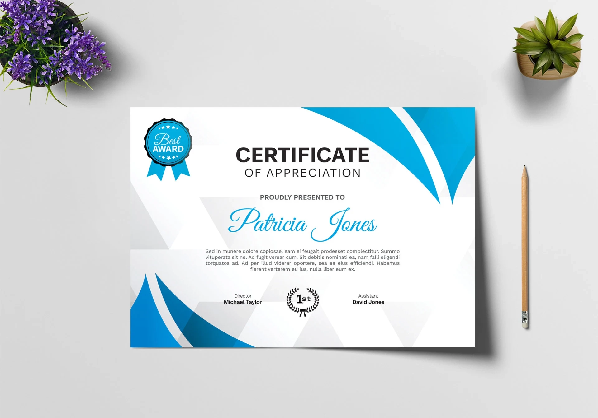 Certificate Template Printable Certificate EDITABLE Appreciation Certificate blank Certificate Template Printable Award Certificate Etsy Certificate Template Printable Certificate EDITABLE Appreciation Certificate blank Certificate Template Printable Award Certificate Etsy