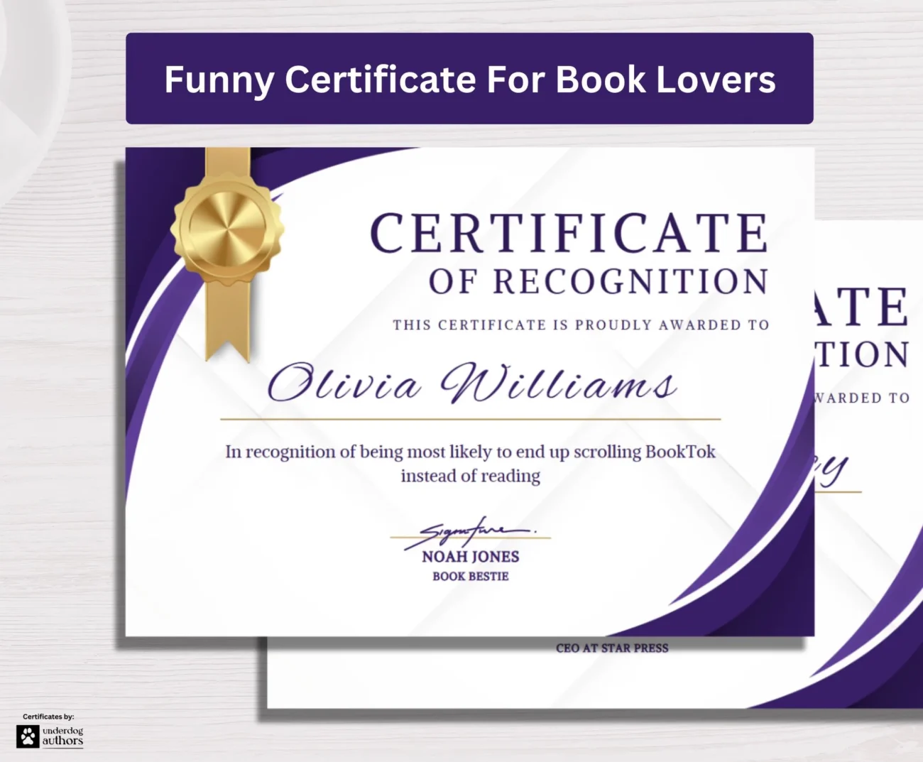 Certificates For Book Lovers 25 Printable Certificates Of Recognition Certificate Template Bundle Book Club Awards Funny Book Lover Gift Etsy