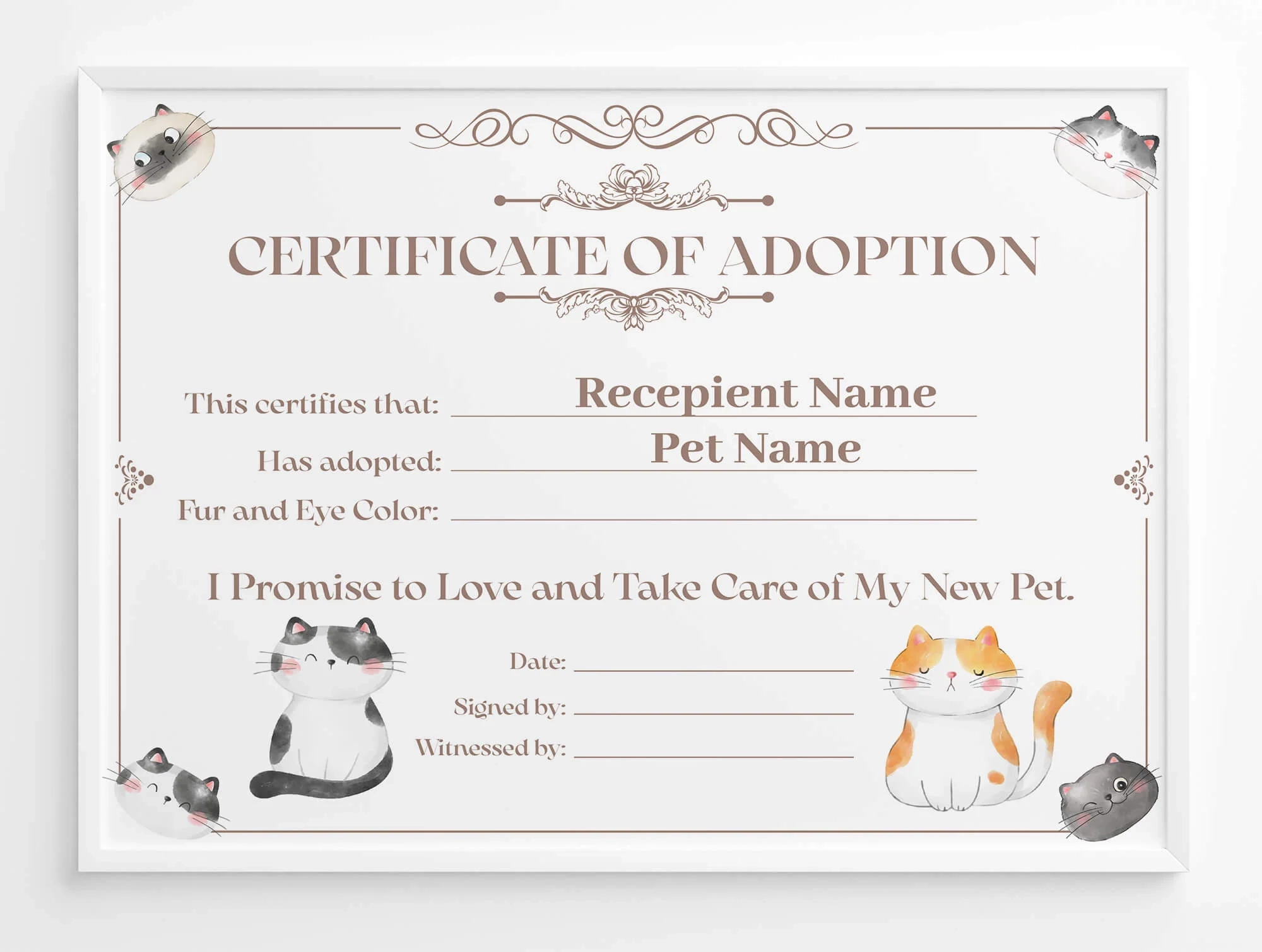 Free Fillable Printable Cat Adoption Certificate