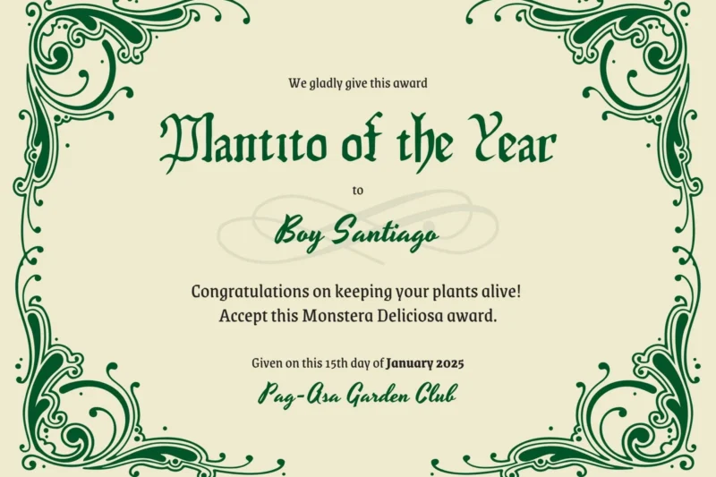 Printable Fun Certificate