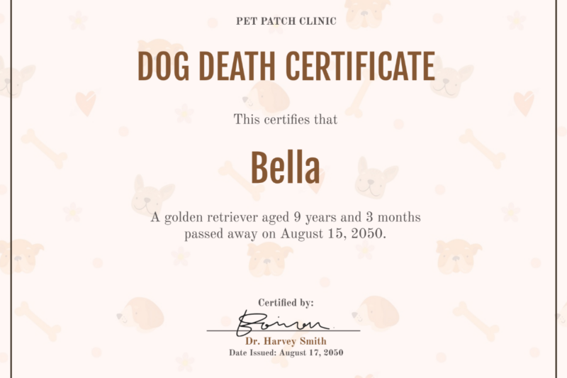 Printable Pet Death Certificates
