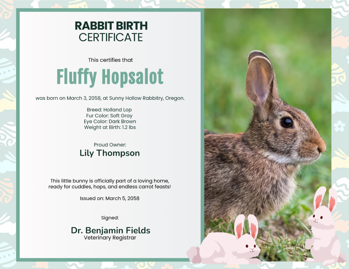 Free Rabbit Birth Certificate Template To Edit Online