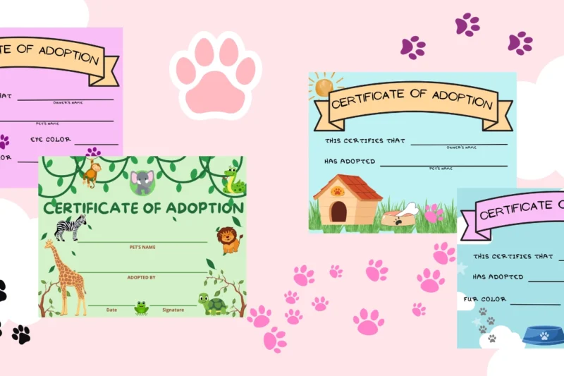 Free Printable Stuffed Animal Adoption Certificate