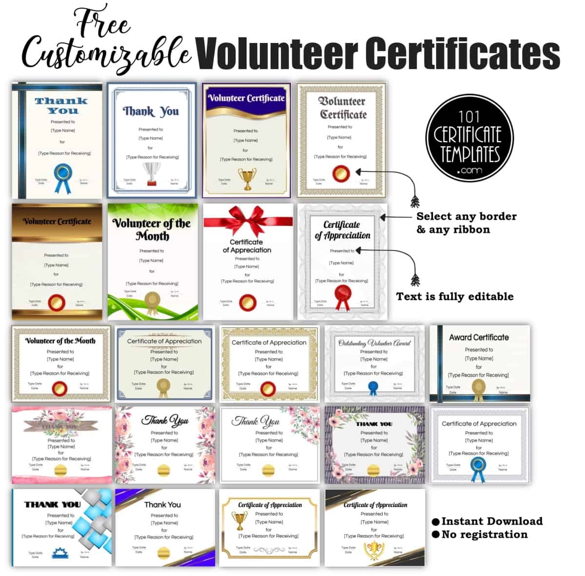 Funny Award Certificate Volunteer Printable