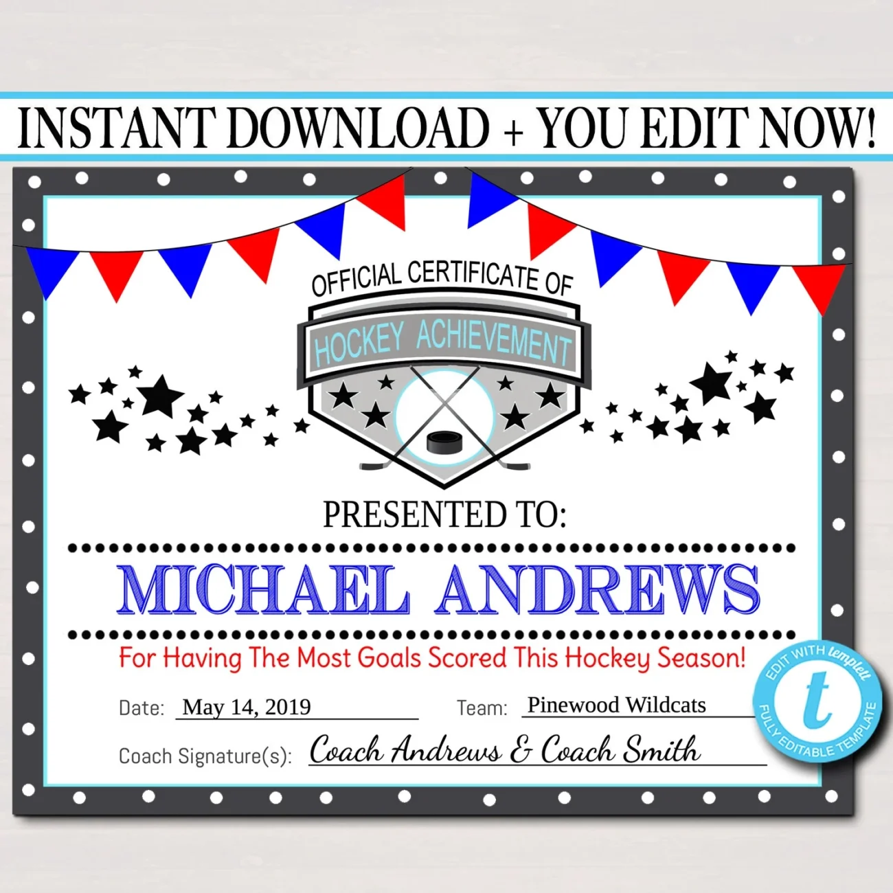 Hockey Award Certificates Team Hockey Awards Hockey Party Printabl TidyLady Printables