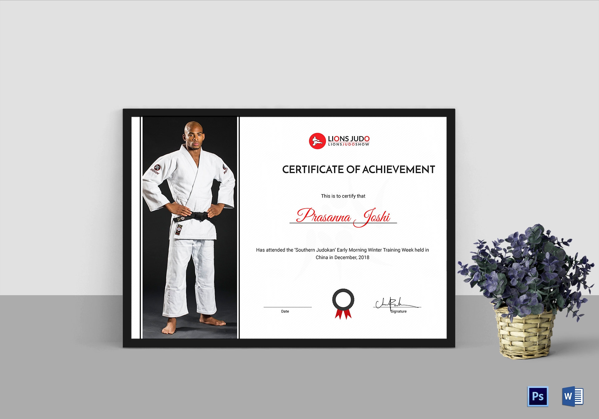 Judo Certificates Printable Judo Certificates Printable