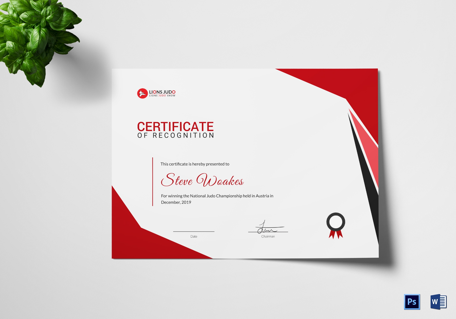 Judo Recognition Certificate Design Template In PSD Word Judo Recognition Certificate Design Template In PSD Word