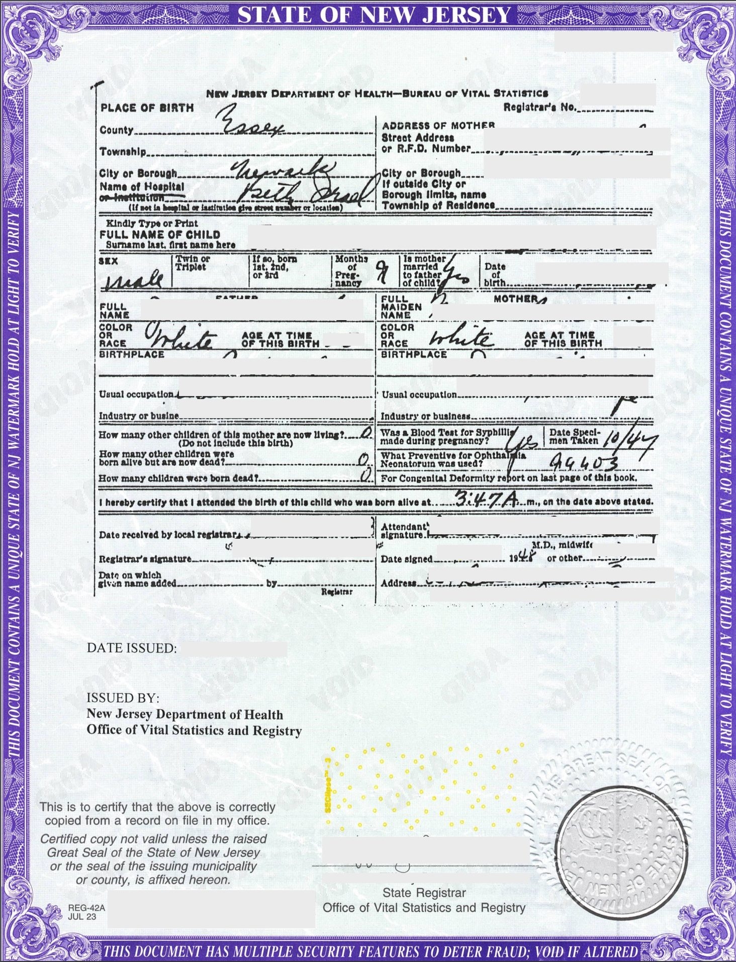 Printable Blank Georgia Birth Certificate