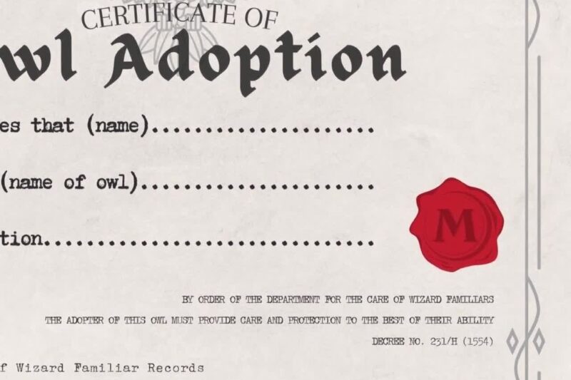 Printable Owl Adoption Certificate