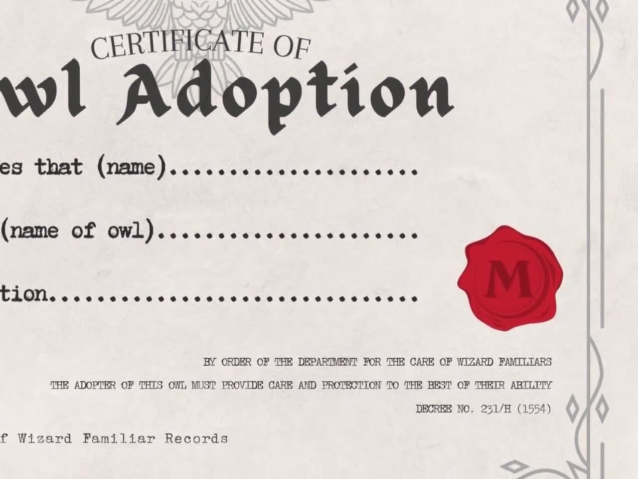 Owl Adoption Certificate Printable Digital Download Magical Party Printable Decor Or Gift Etsy