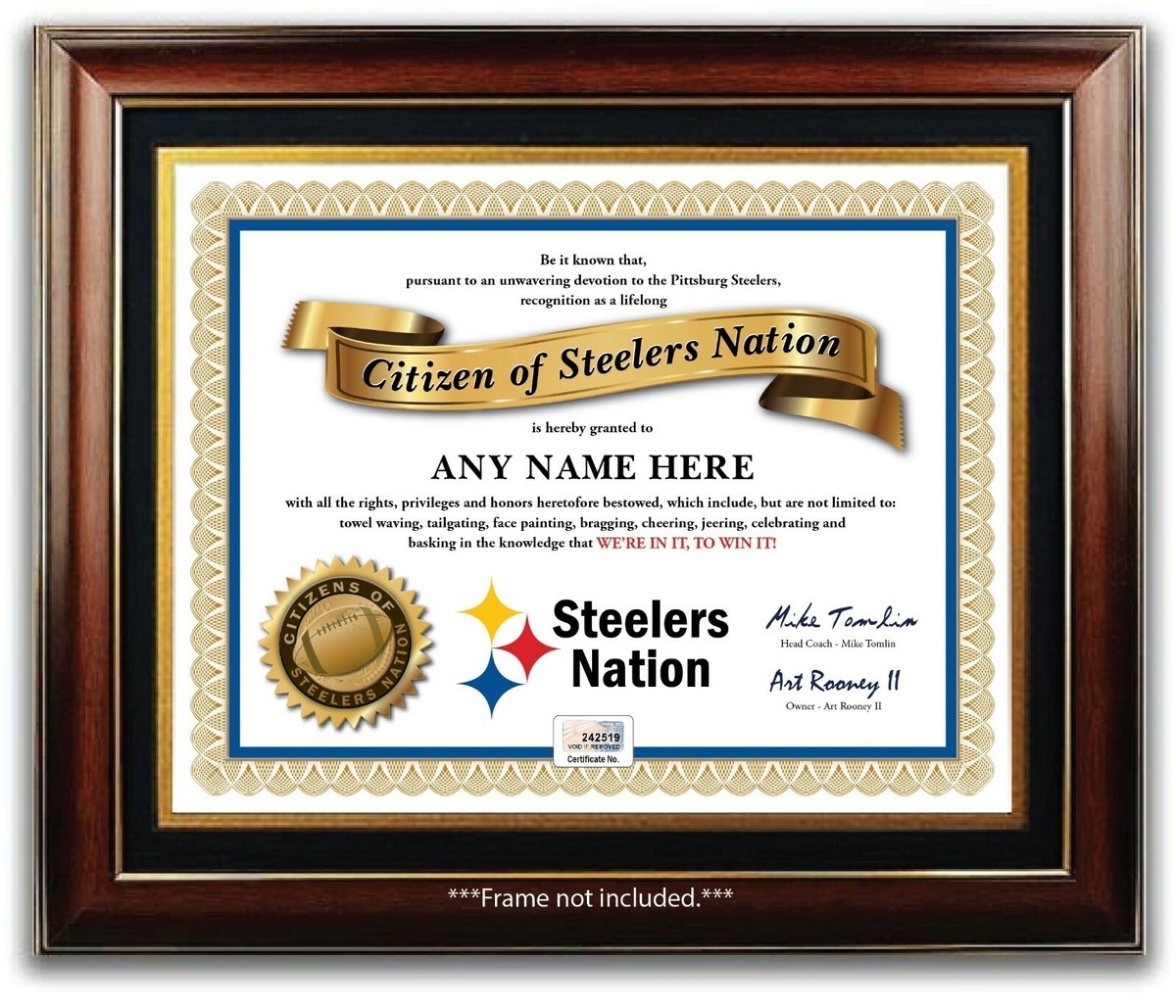 PITTSBURGH STEELERS NATION NFL Football Fan Certificate Diploma GREAT XMAS GIFT EBay
