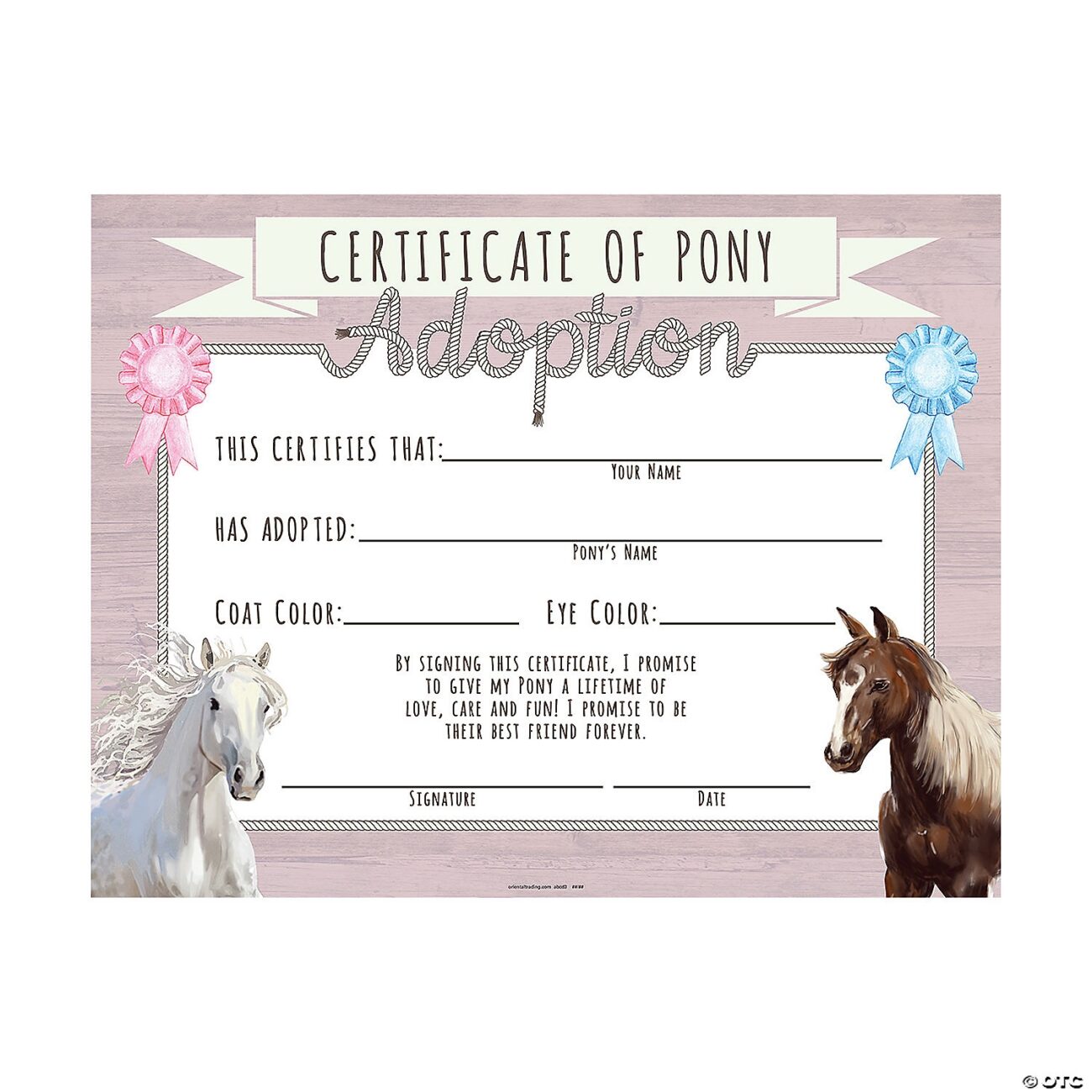 Pony Adoption Certificates Fun Express