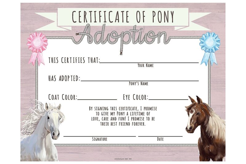 Pony Adoption Certificate Printable