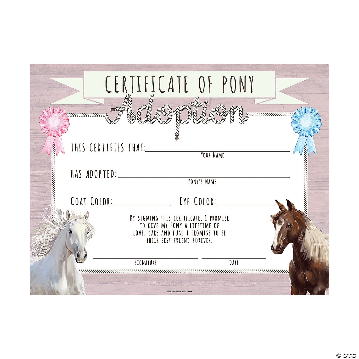 Pony Adoption Certificates Fun Express Pony Adoption Certificates Fun Express