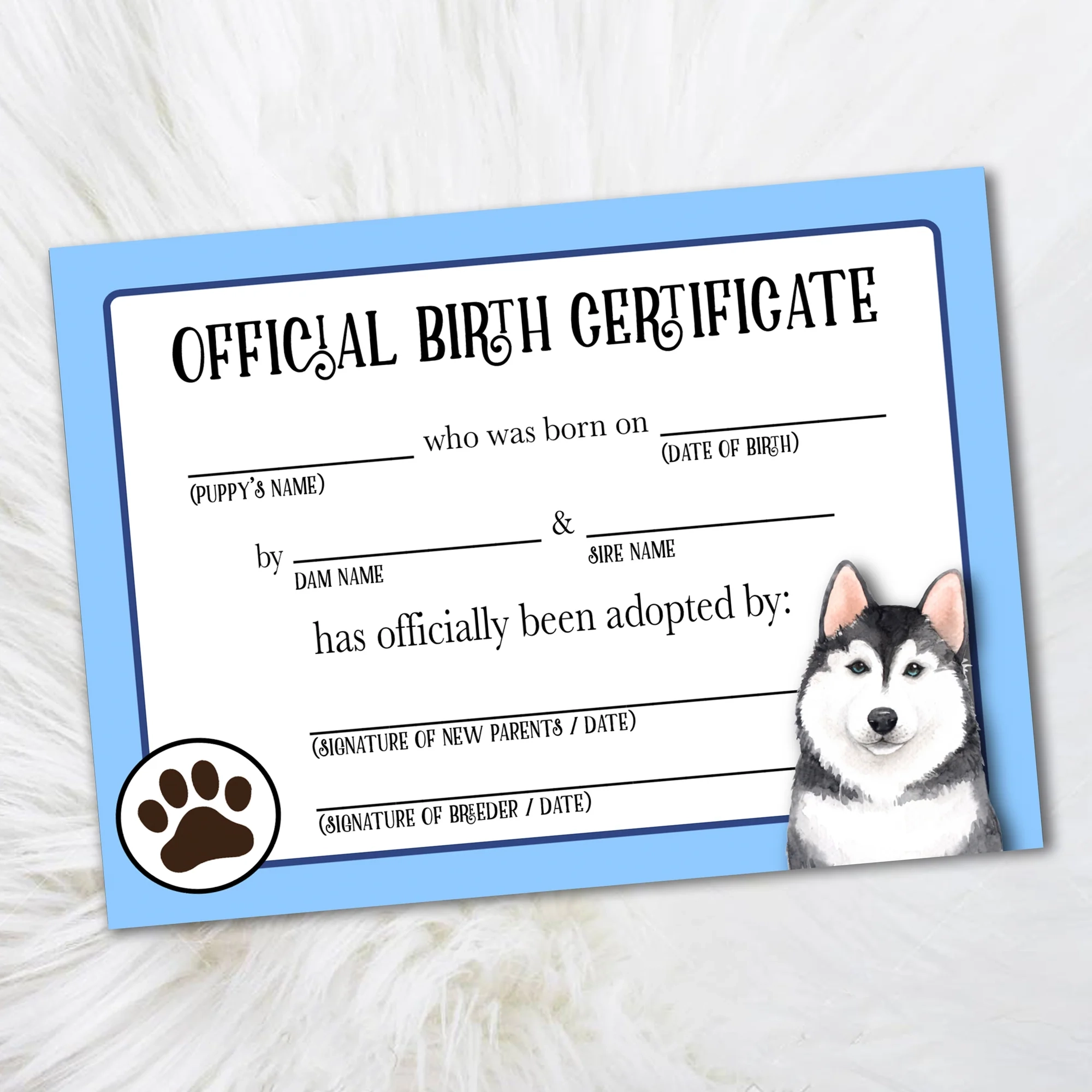 Printable Kentucky Birth Certificate Application Printable Kentucky Birth Certificate Application