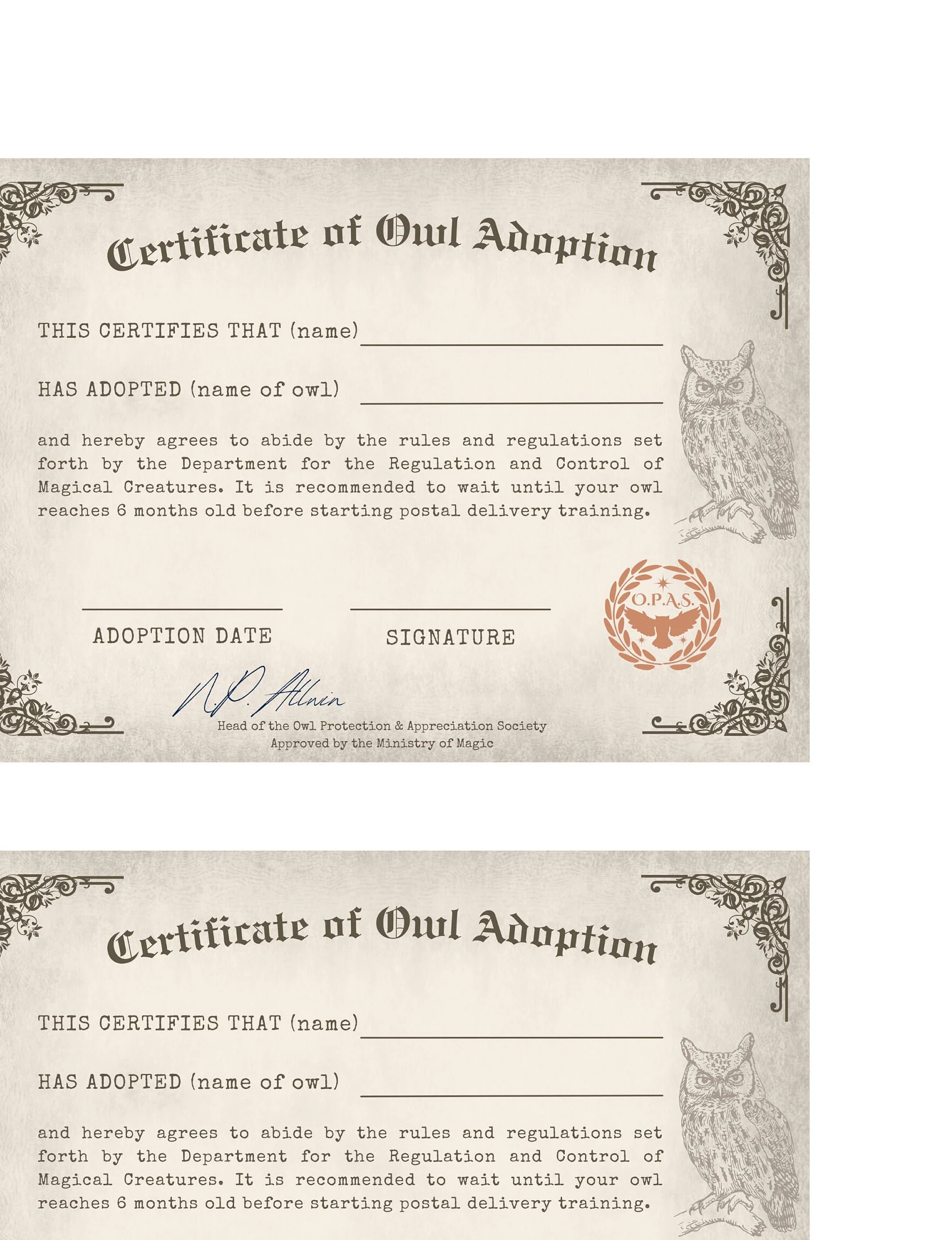 Printable Owl Adoption Certificate For Witchy Themed Party Decoration And Activities Etsy Printable Owl Adoption Certificate For Witchy Themed Party Decoration And Activities Etsy