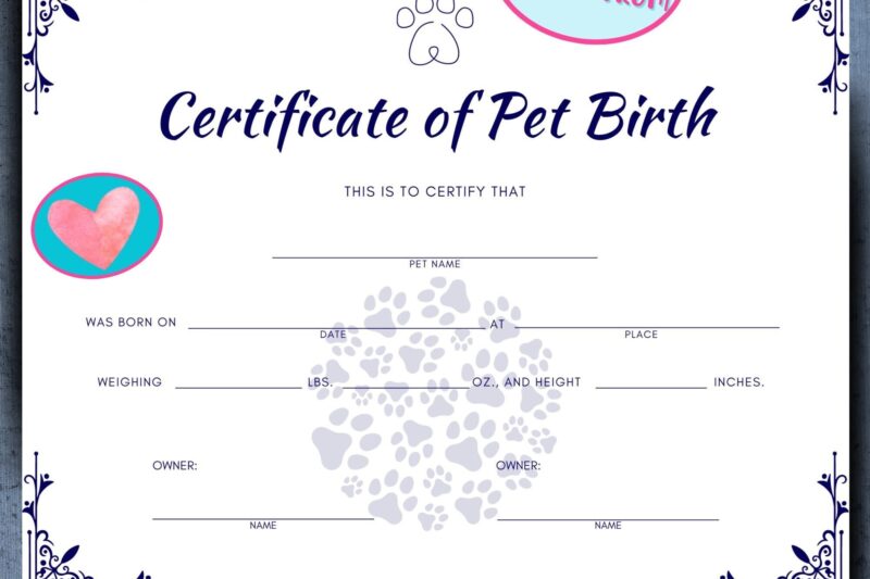 Printable Applications For Pa Birth Certificate