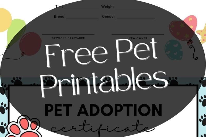 Free Printable Animal Birth Certificates