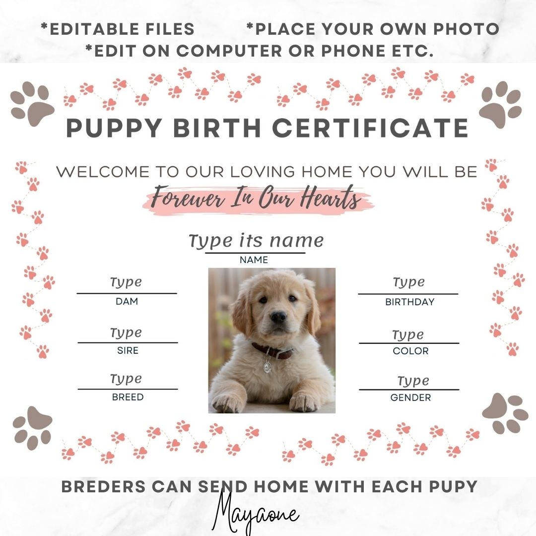 Puppy Birth Certificate Template Kitty Birth Certificate T Inspire Uplift Puppy Birth Certificate Template Kitty Birth Certificate T Inspire Uplift