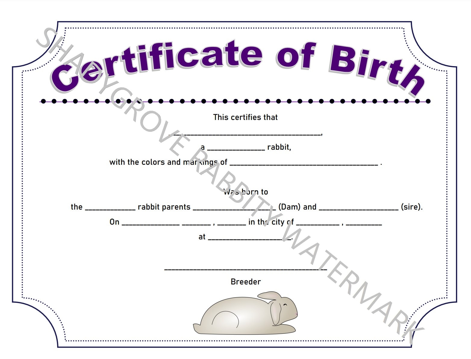 Rabbit Customizable Birth Certificate PDF Digital Download