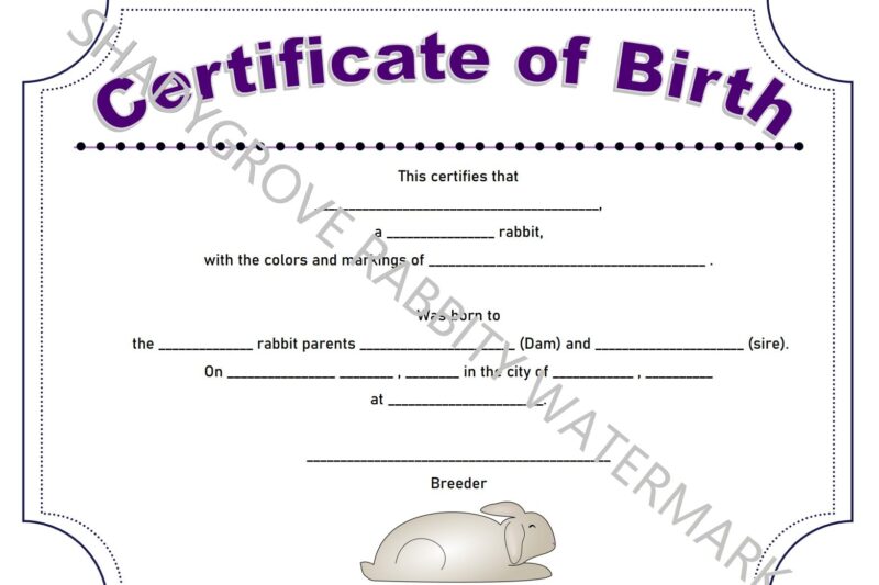 Printable Bunny Birth Certificate
