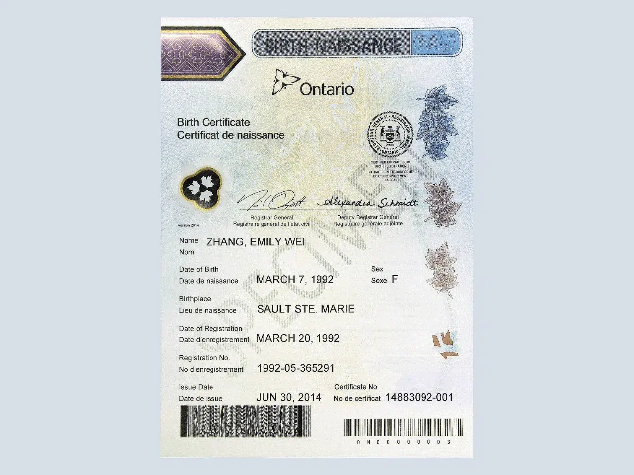 Service Ontario Birth Certificate Printable Application